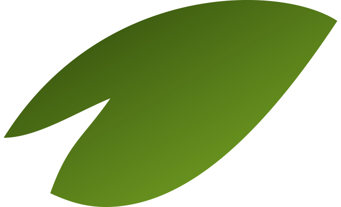 scroll image